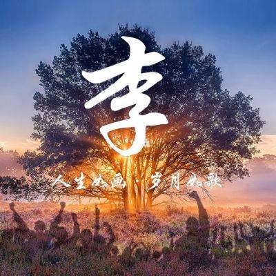 曙光降临下载官方