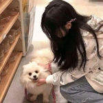 究极数码进化单机版下载